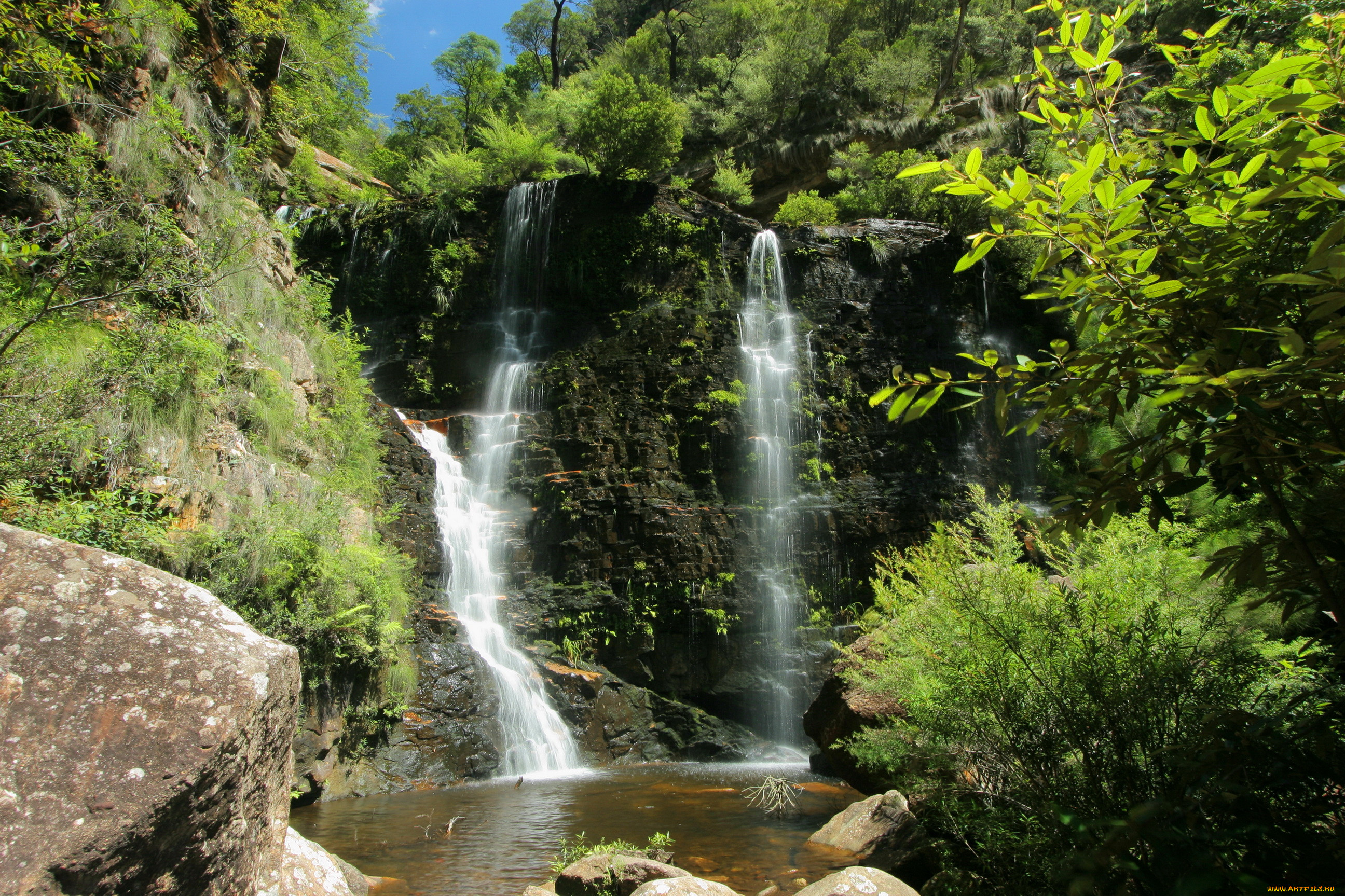 blue mountain national park , , , , , , , park, blue, mountain, , 